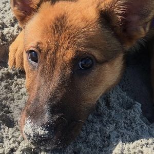 Meet your Posher, Victoria